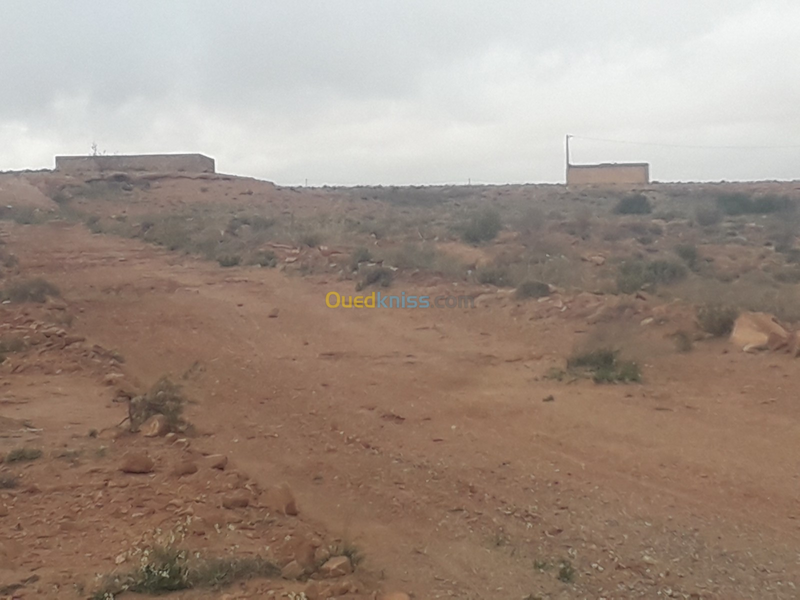 Vente Terrain Agricole Djelfa Ain el ibel