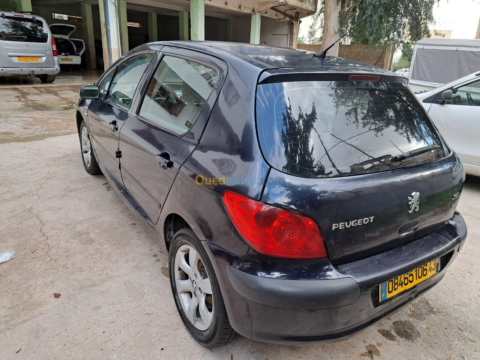 Peugeot 307 2006 Oxygo