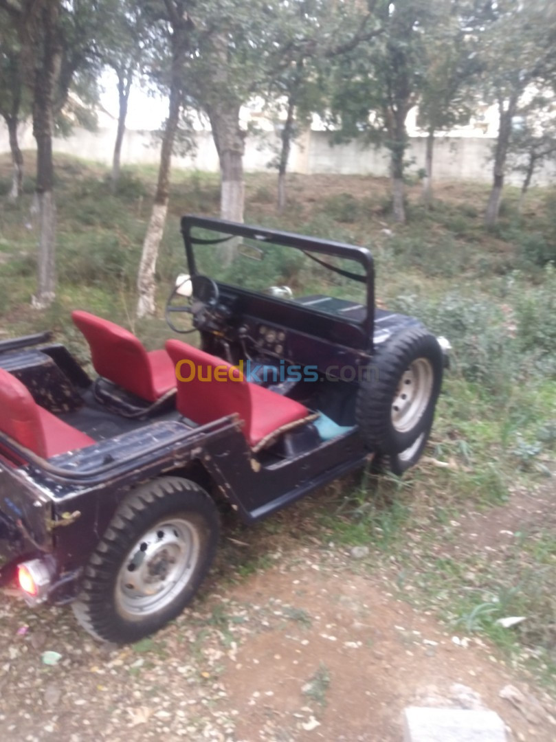 Jeep WILLYS 1977 CABRIOLET 4x4