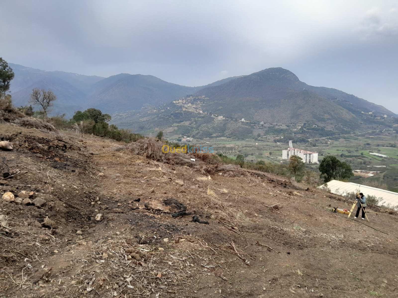 Vente Terrain Tizi Ouzou Ait chaffaa