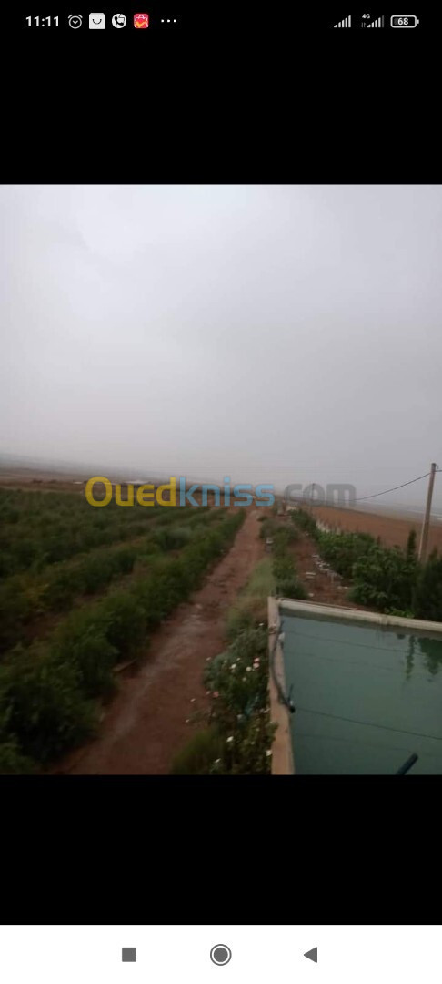 Vente Terrain Agricole Oran El Kerma