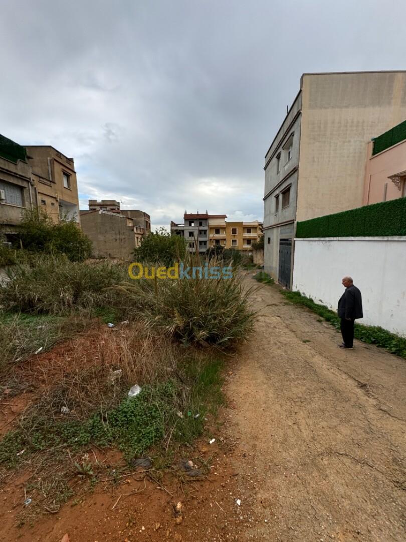 Vente Terrain Alger Saoula