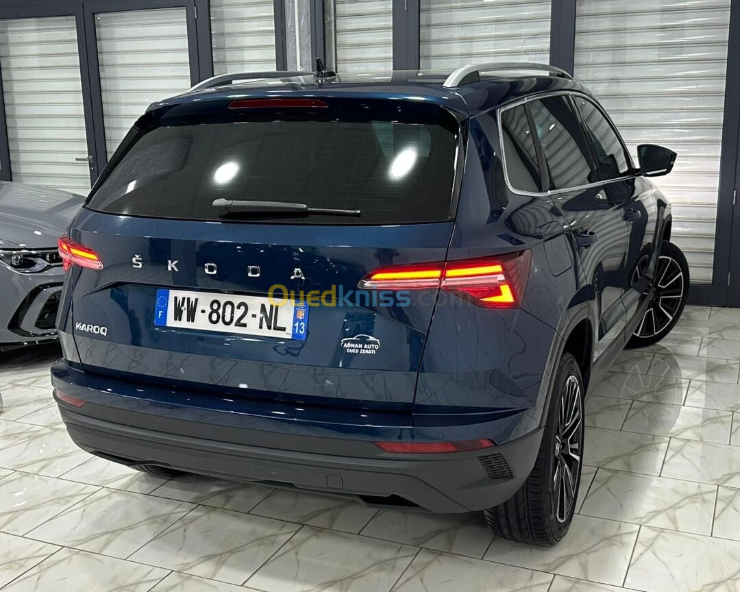 Skoda Karoq 2023 1.5 tsi 150 cv