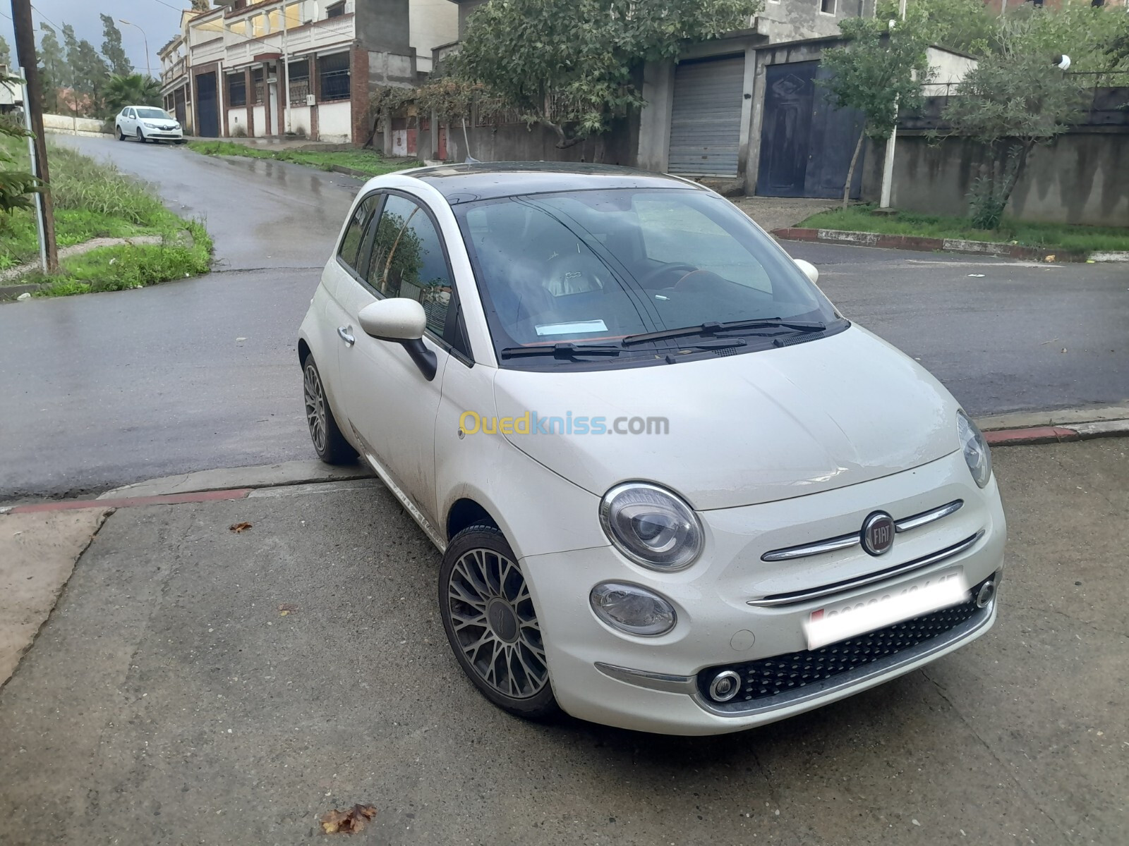 Fiat 500 2024 