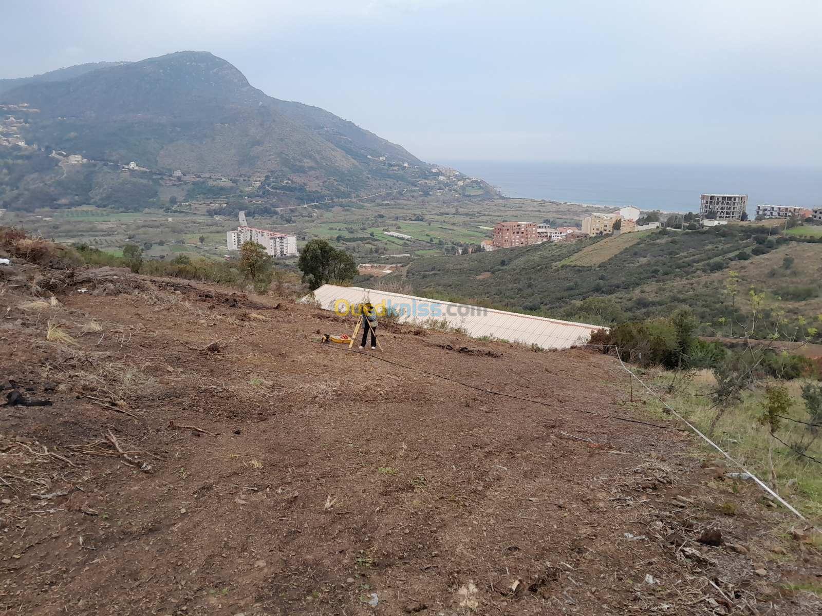 Vente Terrain Tizi Ouzou Ait chaffaa