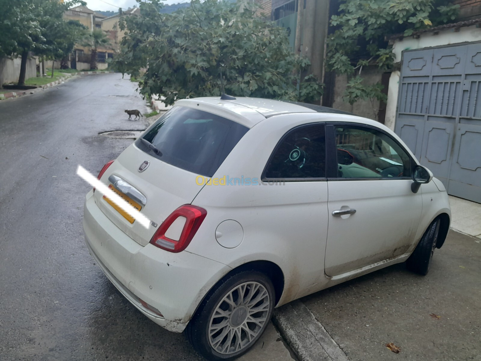 Fiat 500 2024 