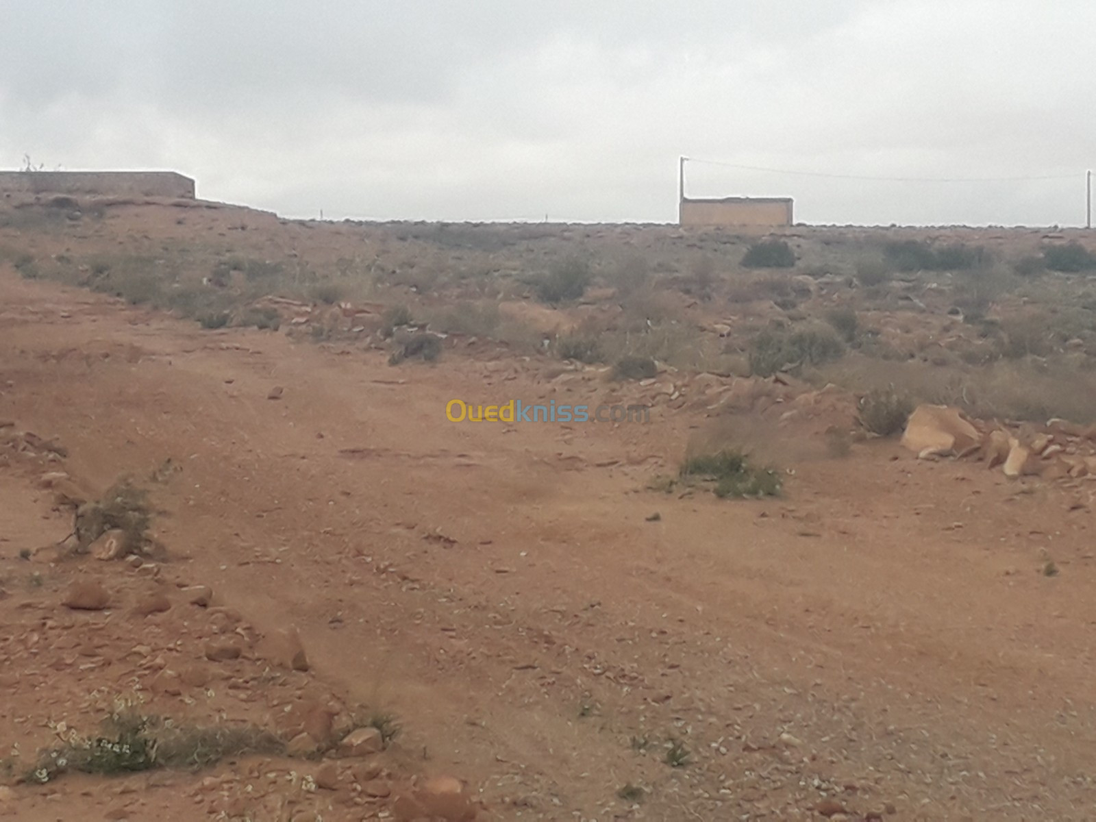 Vente Terrain Agricole Djelfa Ain el ibel