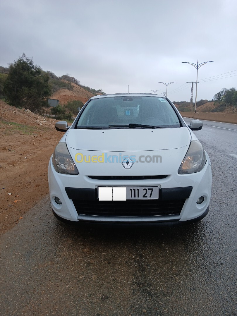 Renault Clio 3 2011 Night and Day