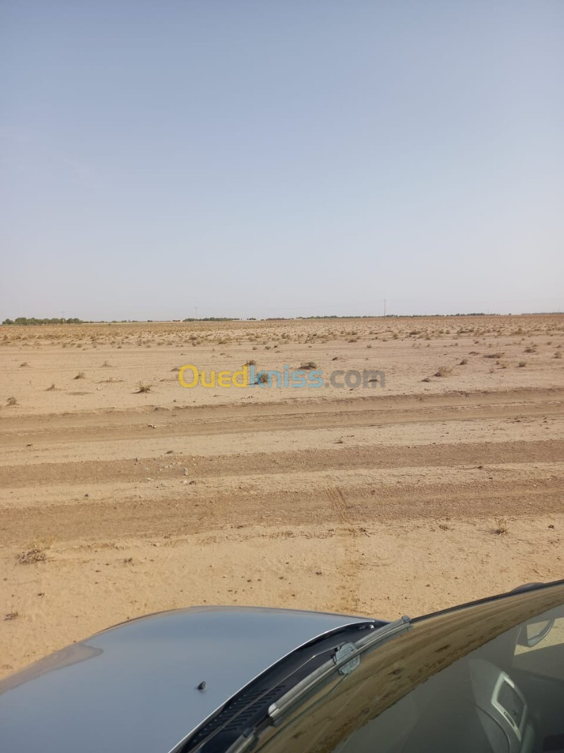 Vente Terrain Agricole Tiaret Rechaiga