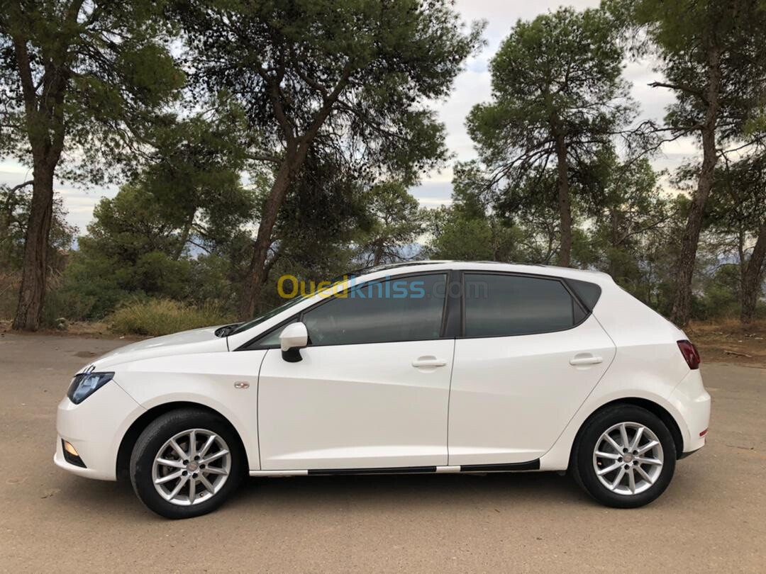 Seat Ibiza 2013 Fully