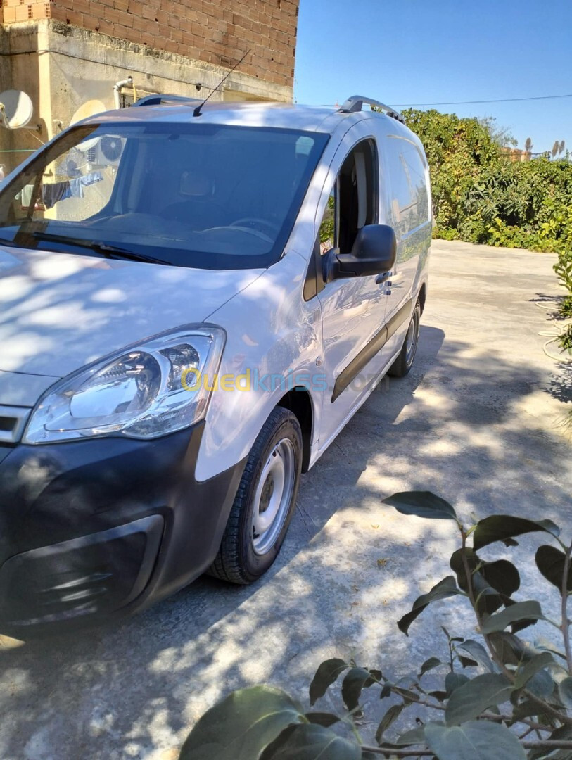 Citroen Berlingo 2017 Berlingo