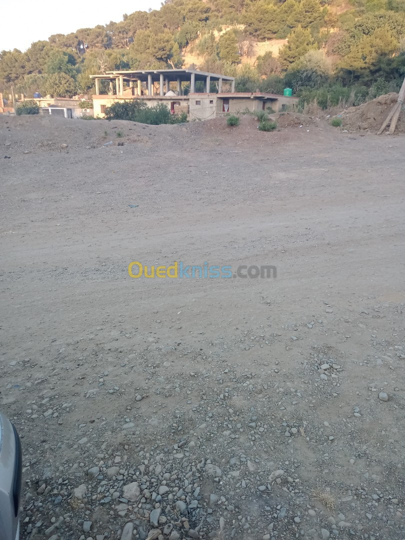 Vente Terrain Tipaza Gouraya