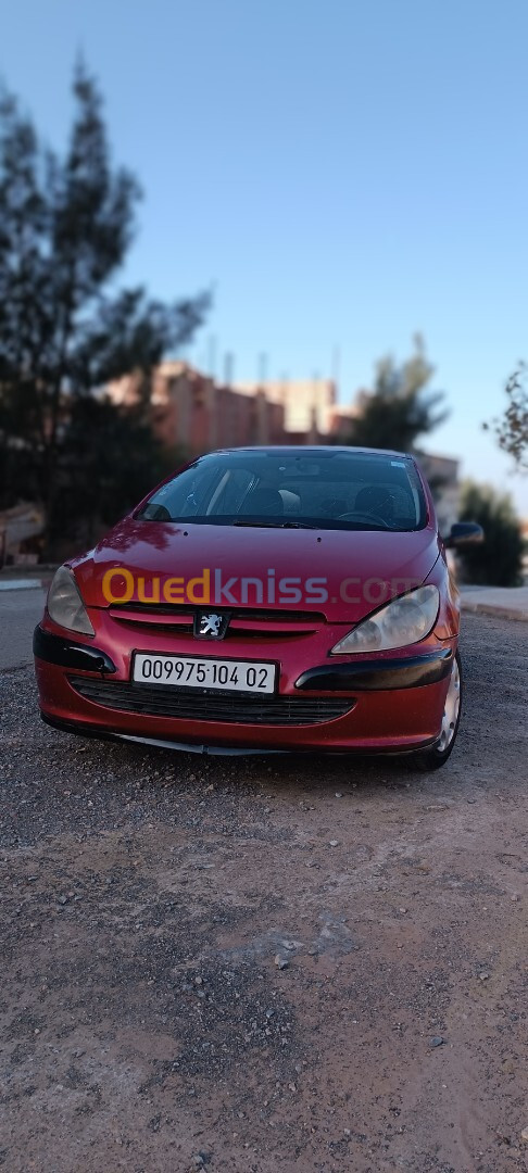 Peugeot 307 2004 307