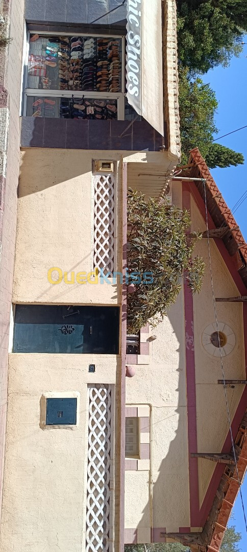 Vente Villa Tlemcen Tlemcen