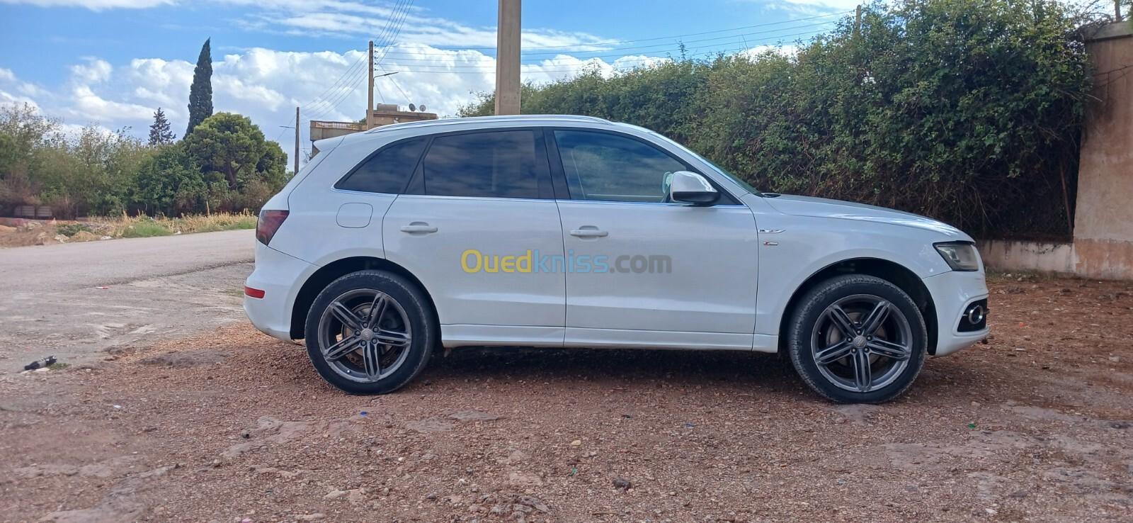 Audi Q5 2014 S Line