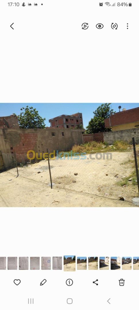 Vente Terrain Alger Reghaia