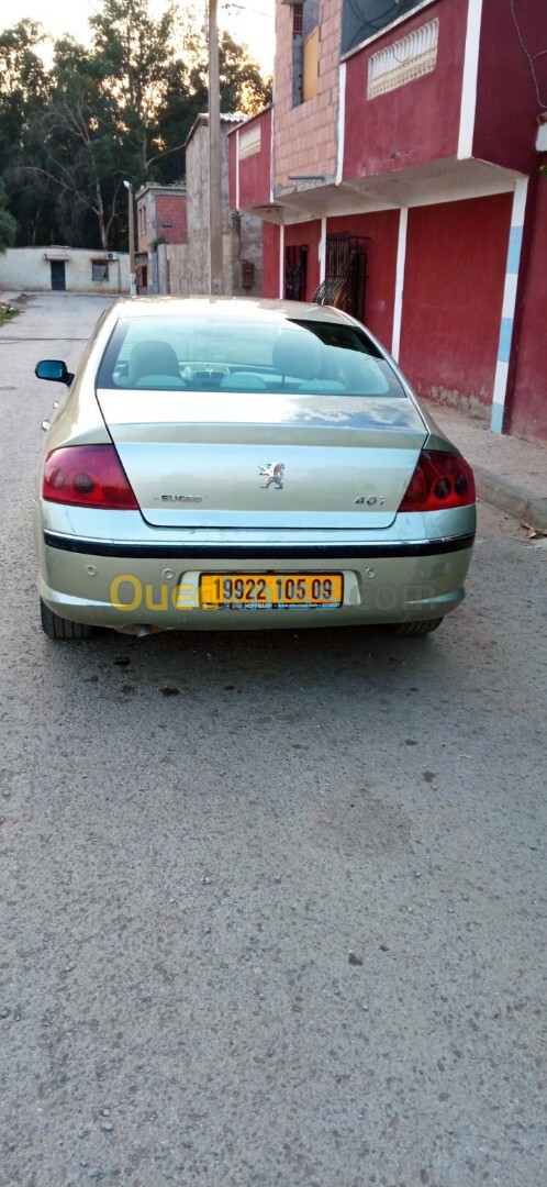 Peugeot 407 2005 407