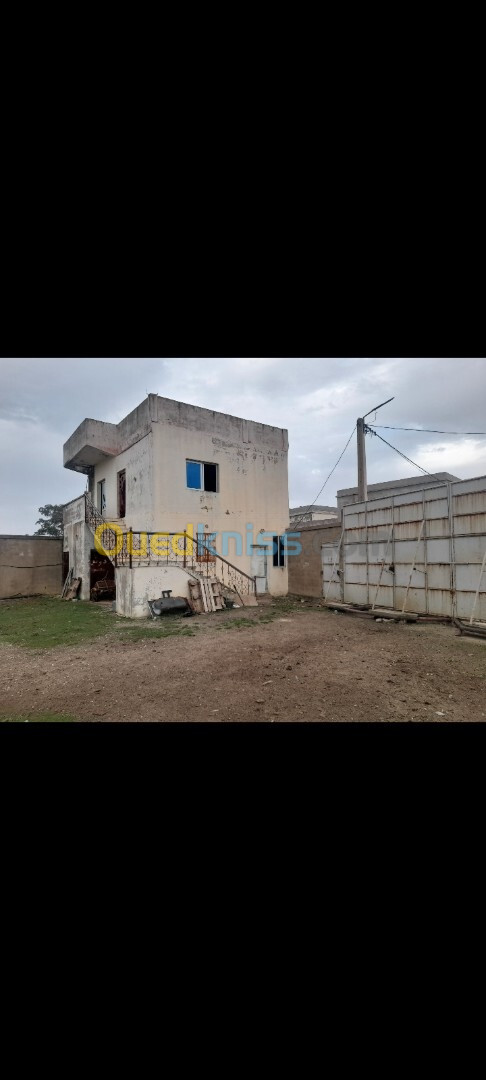 Location Hangar El Tarf Ben mehdi