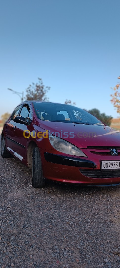 Peugeot 307 2004 307