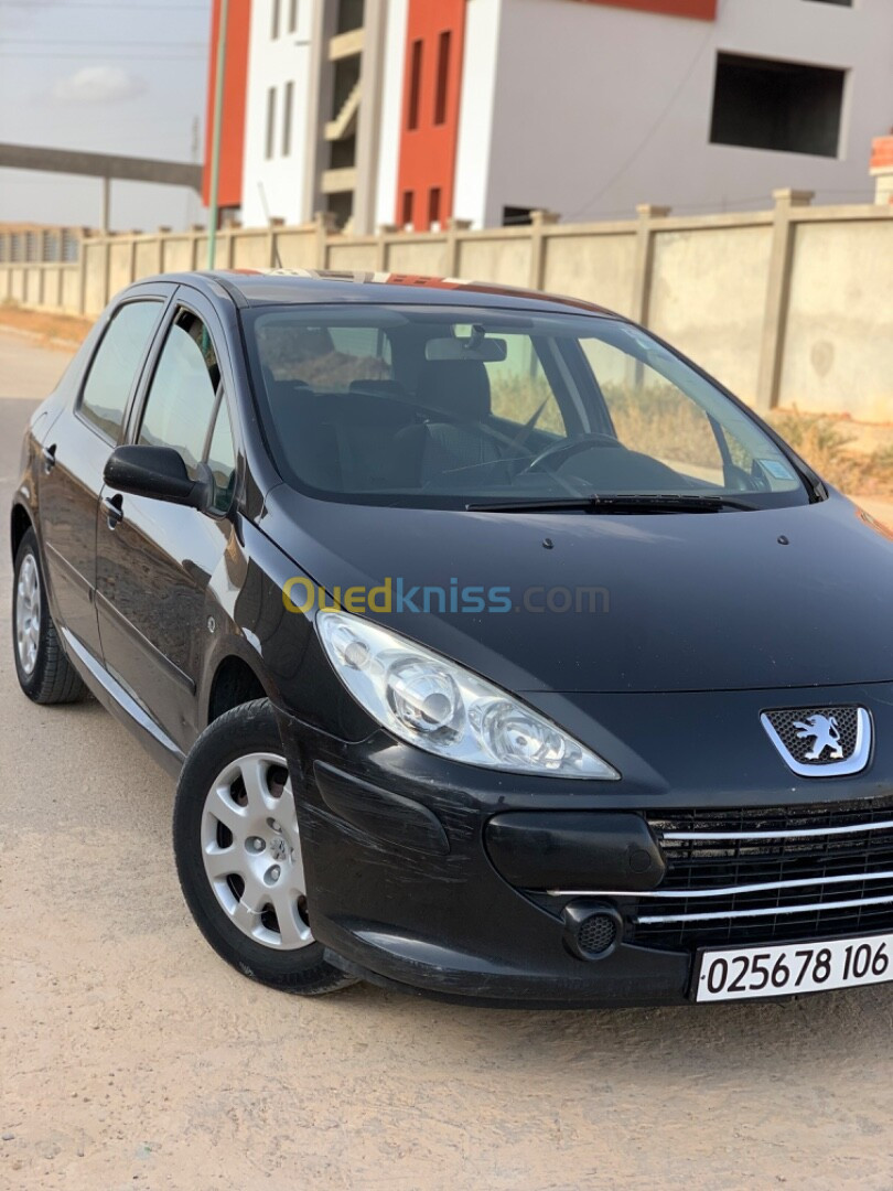 Peugeot 307 2006 