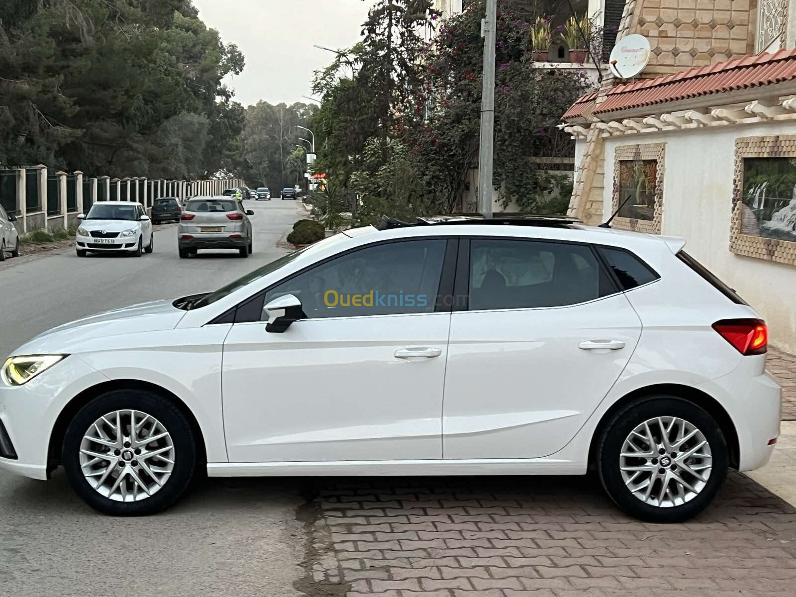 Seat Ibiza 2019 لهاي بلوس