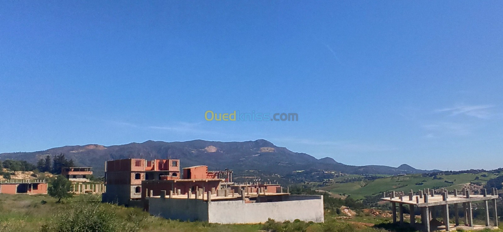 Vente Terrain Tipaza Sidi amar