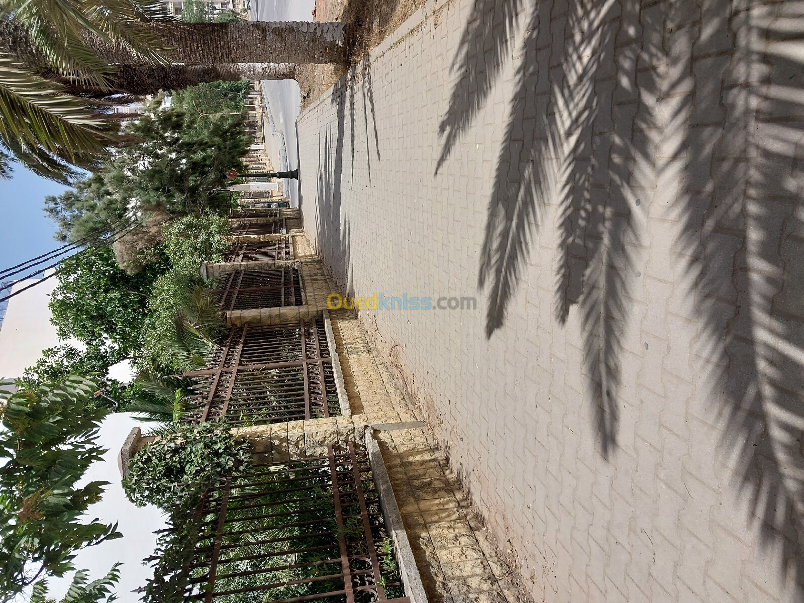 Location Duplex F5 Alger El achour