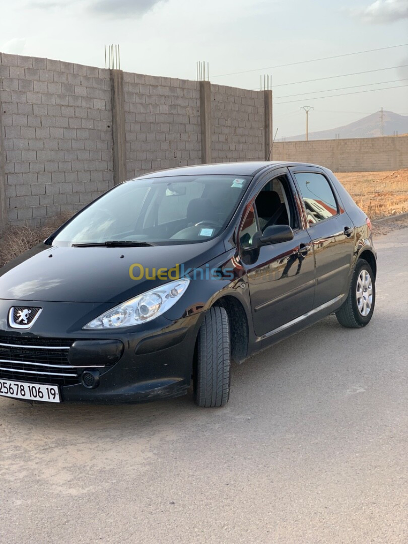 Peugeot 307 2006 