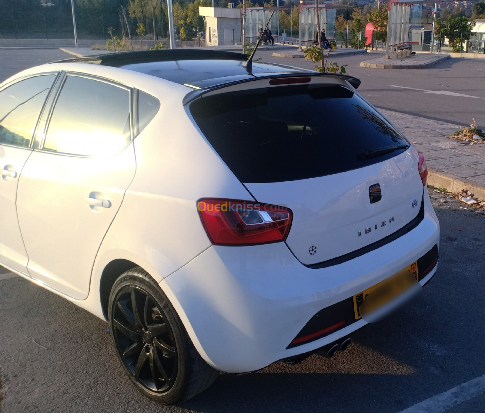 Seat Ibiza 2012 Ibiza