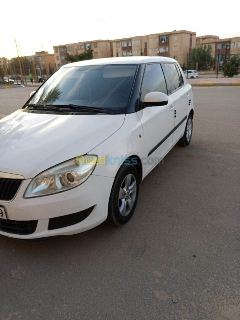 Skoda Fabia 2011 