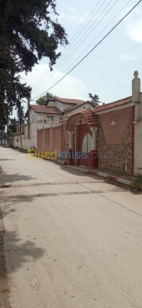 Vente Villa Blida Guerrouaou