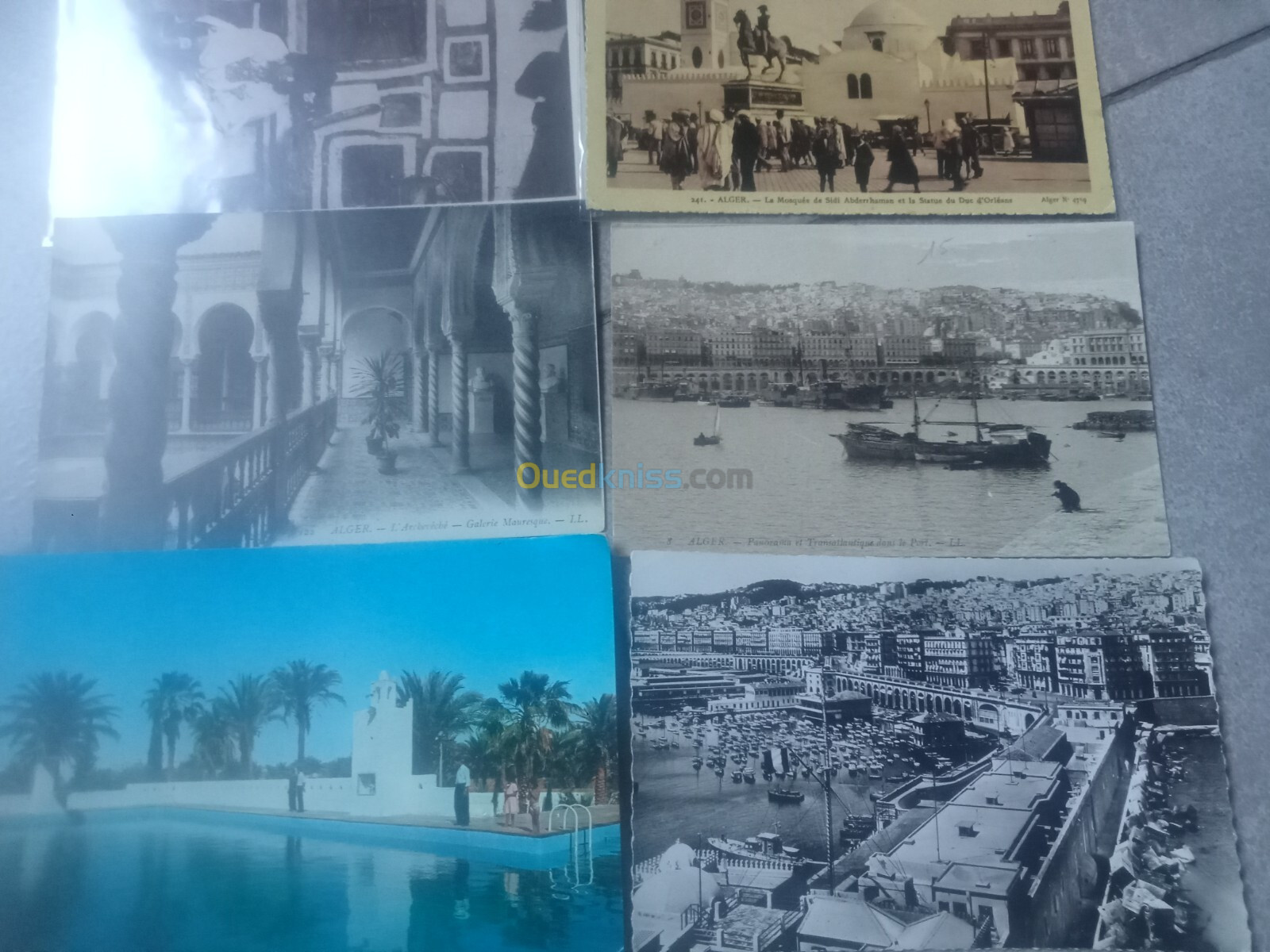 lot 49 carte postale ancienne d Alger 