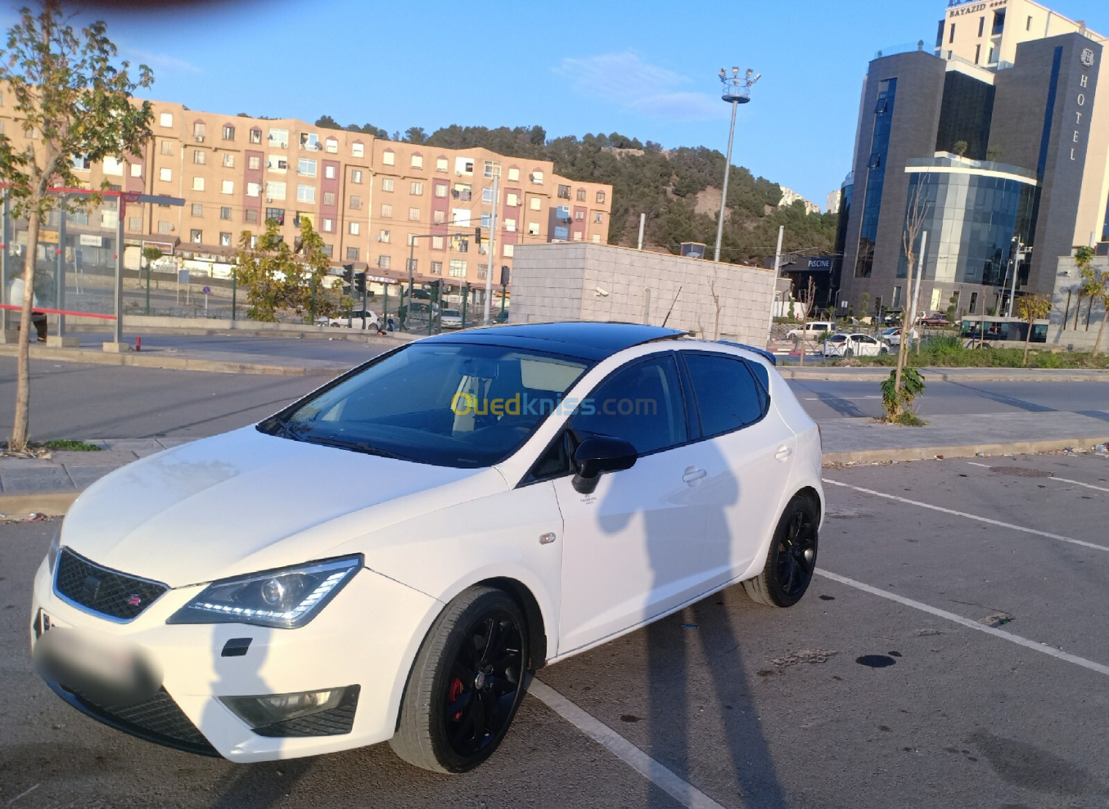 Seat Ibiza 2012 Ibiza