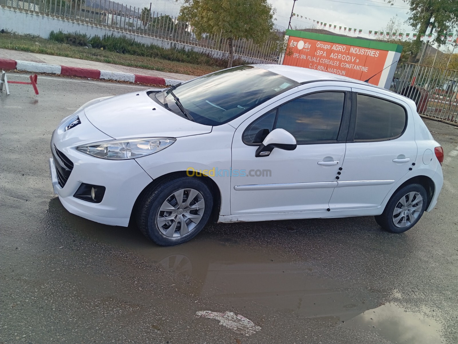 Peugeot 207 2011 Active