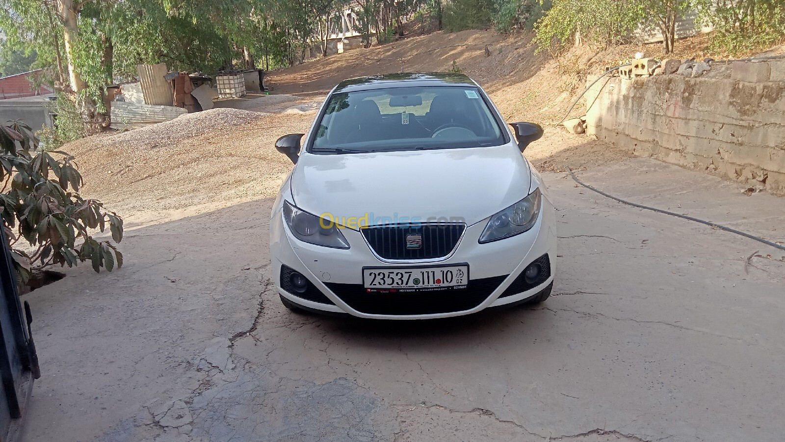 Seat Ibiza 2011 Loca