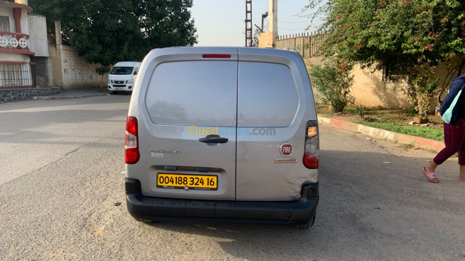 Fiat Professional Doblo 2024 2024 Doblo