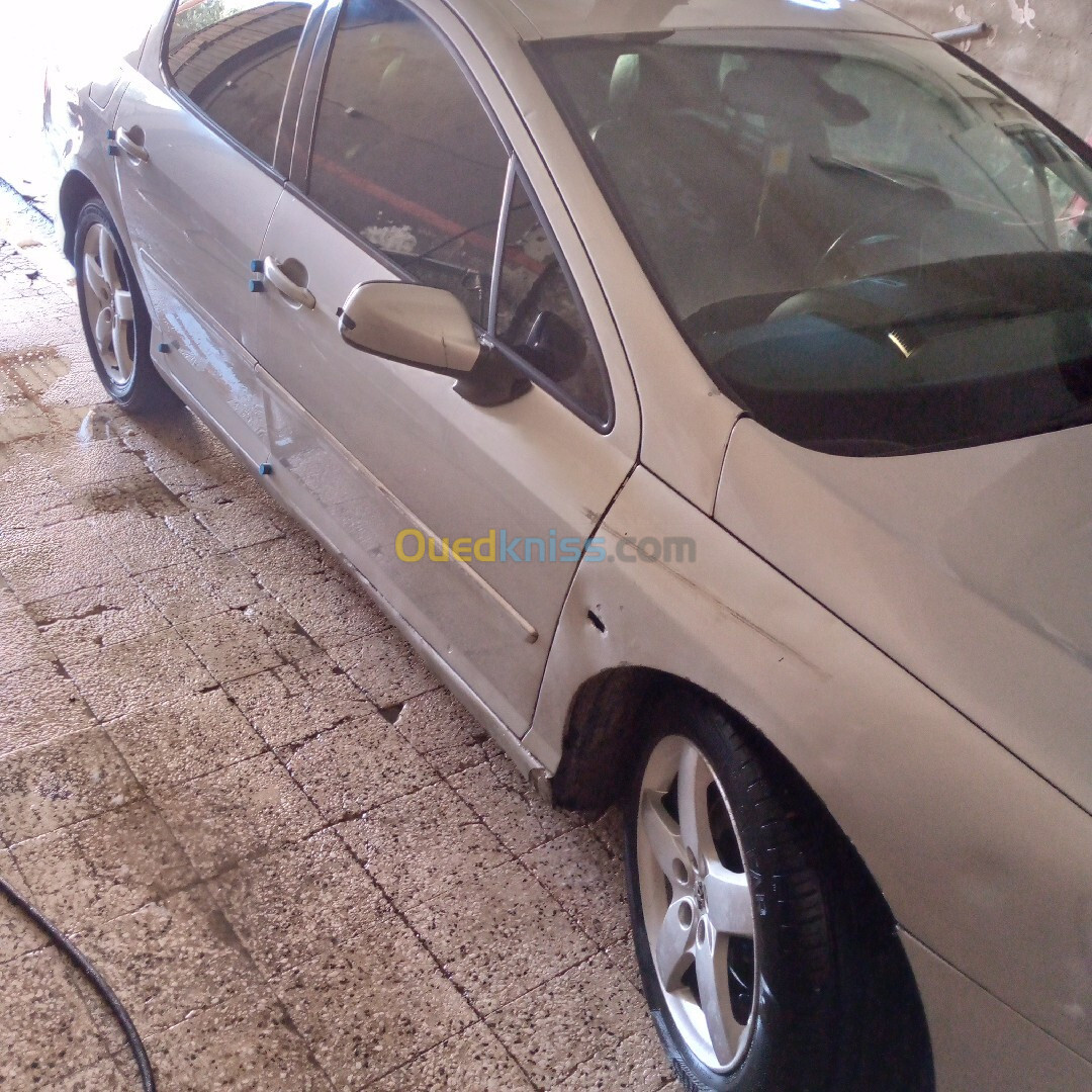 Peugeot 407 2007 407