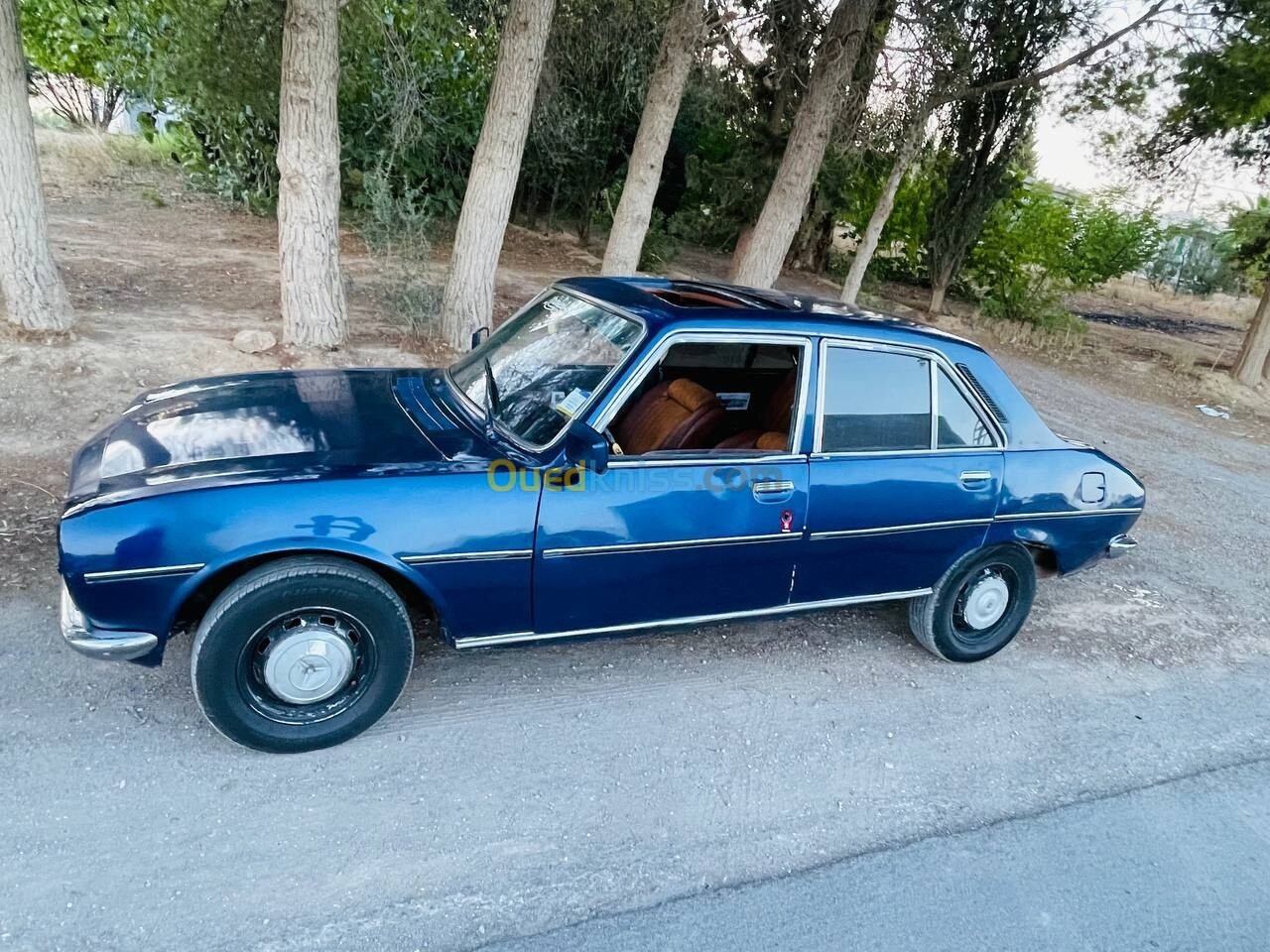 Peugeot 504 1976 