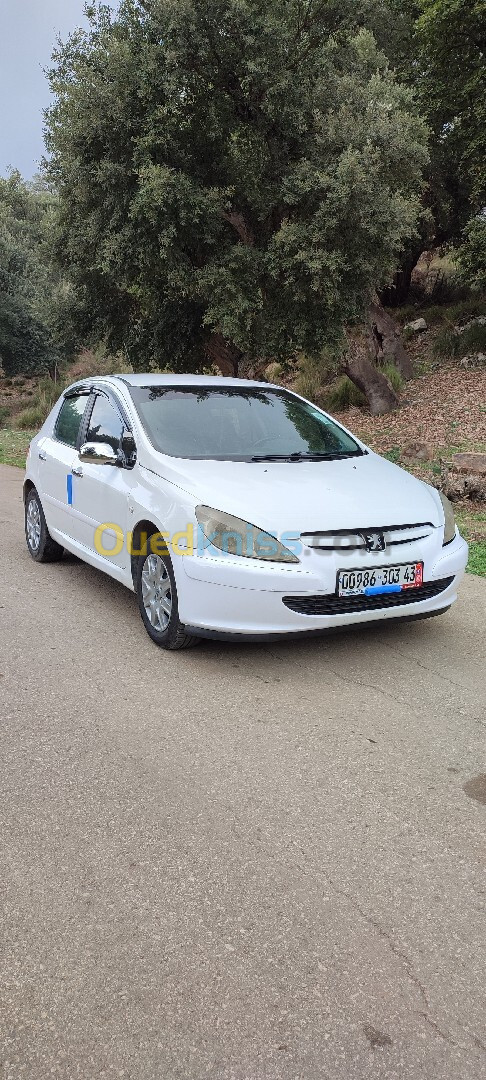 Peugeot 307 2003 307