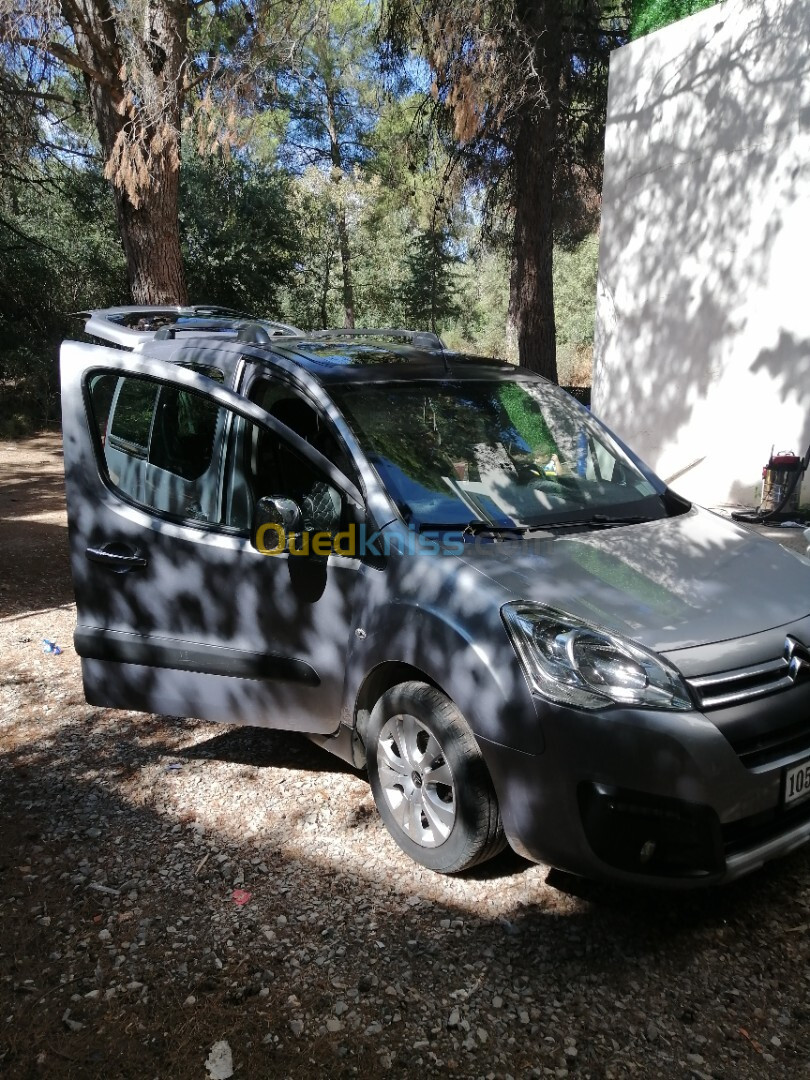 Citroen Berlingo 2018 Berlingo