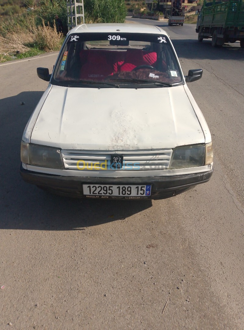 Peugeot 309 1989 309