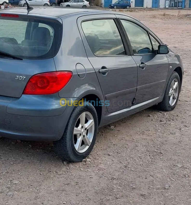 Peugeot 307 2007 307