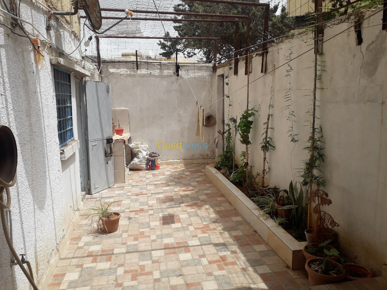 Vente Appartement F4 Chlef Tenes