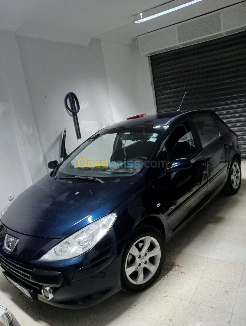 Peugeot 307 2006 Oxygo