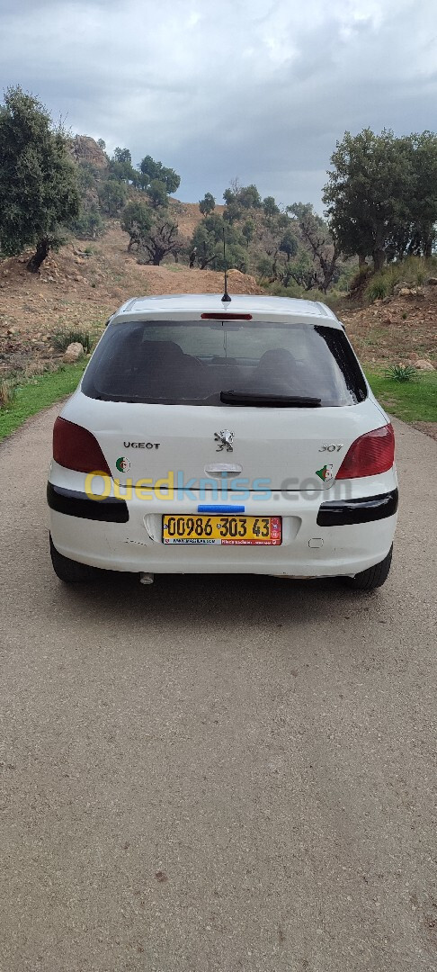 Peugeot 307 2003 307