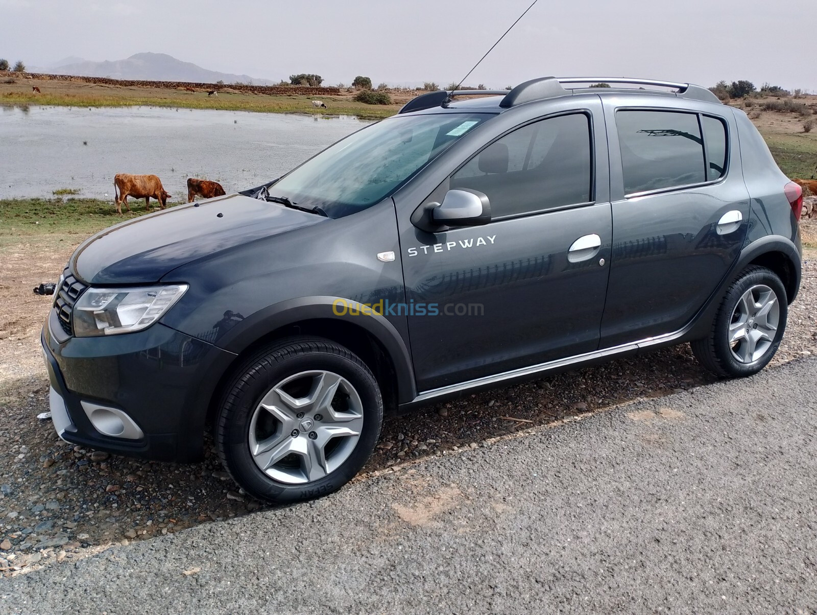 Dacia Stepway 2019 La tout options