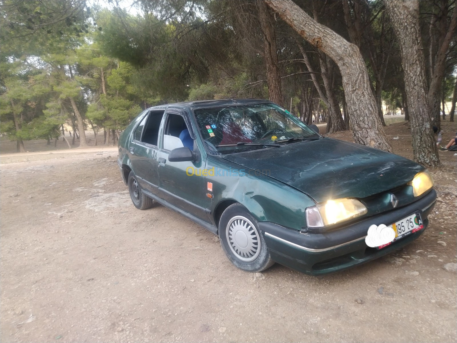 Renault 19 1995 19