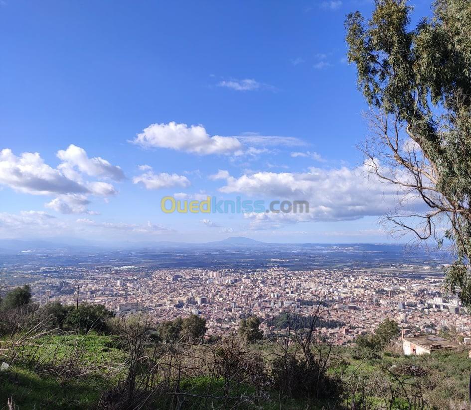 Vente Terrain Blida Chrea