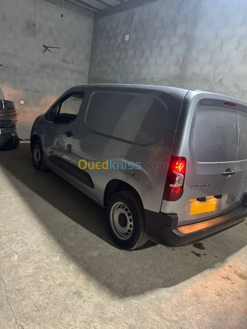 Fiat Professional Doblo 2024 Dz