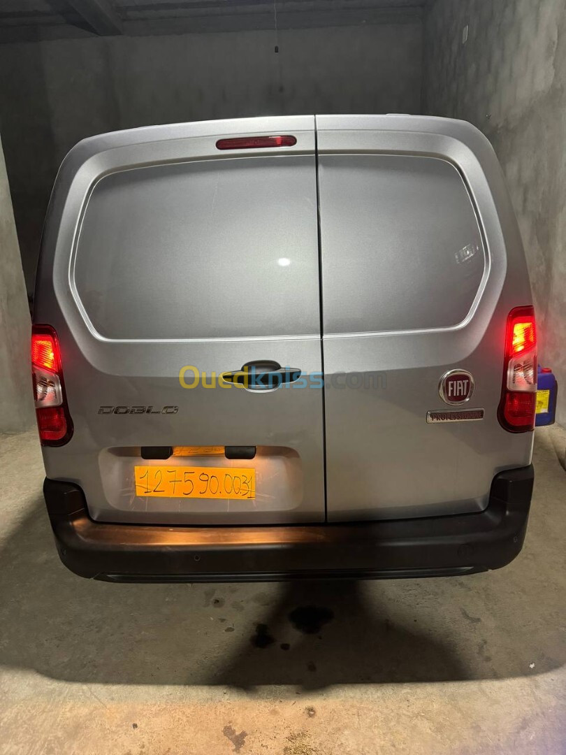 Fiat Professional Doblo 2024 Dz